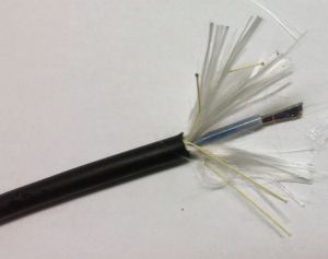 24F Fiber Optic Cable - 2km